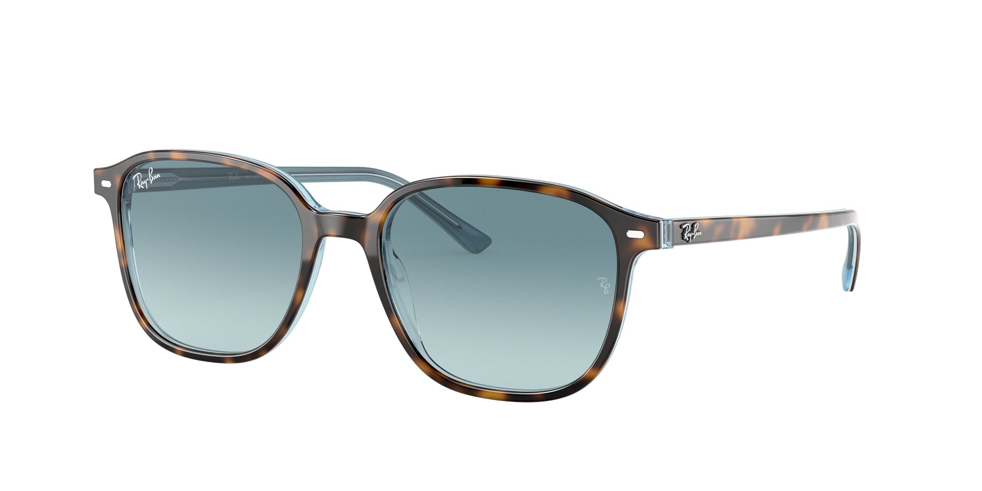 RAY-BAN LEONARD RB2193