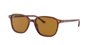 RAY-BAN LEONARD RB2193